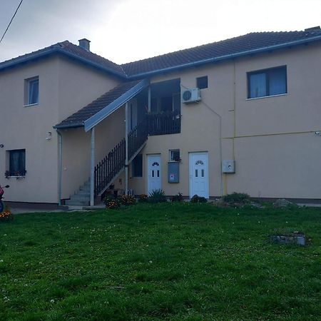 Rm Castell Apartments نوفي ساد المظهر الخارجي الصورة