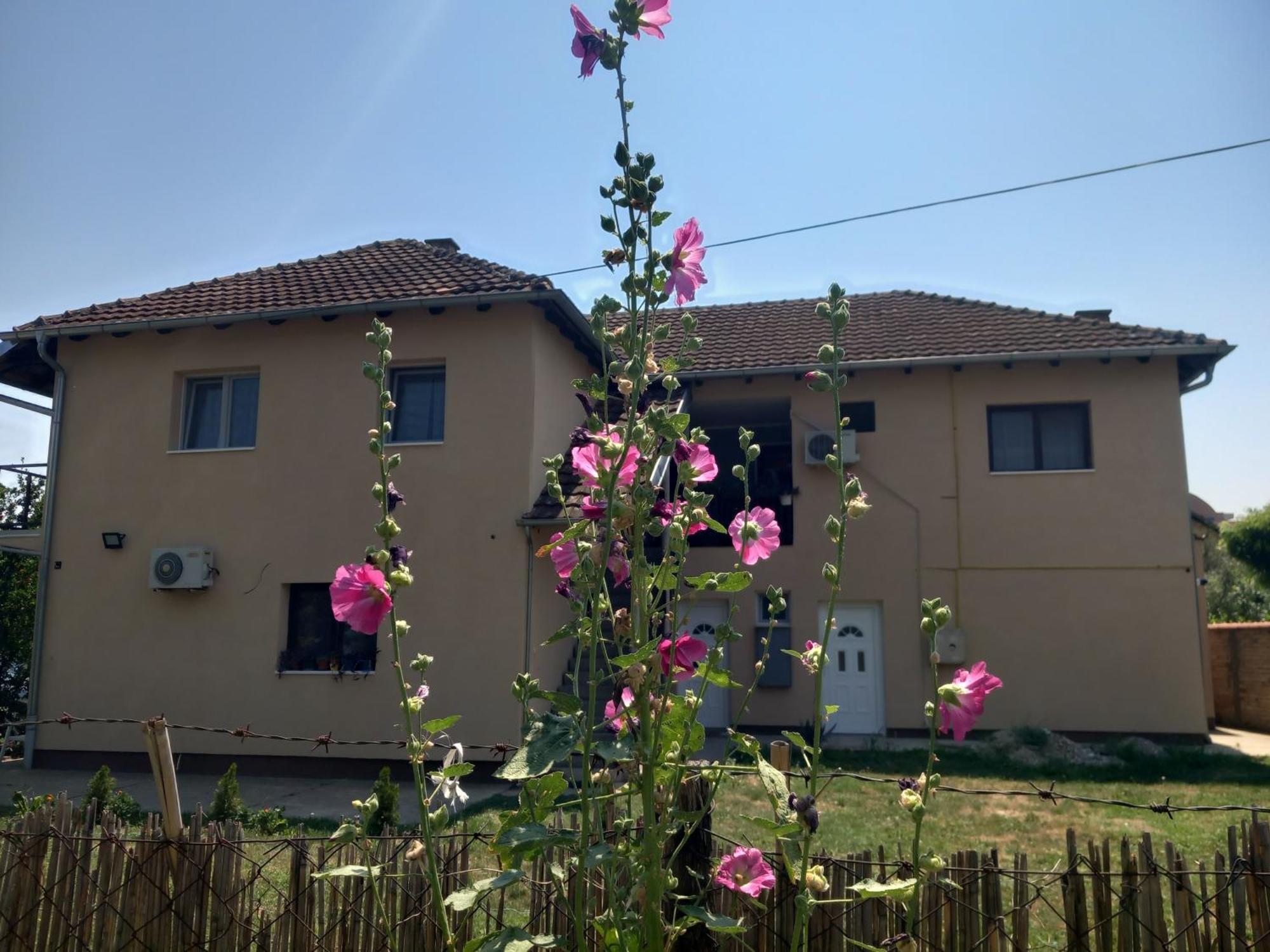 Rm Castell Apartments نوفي ساد المظهر الخارجي الصورة