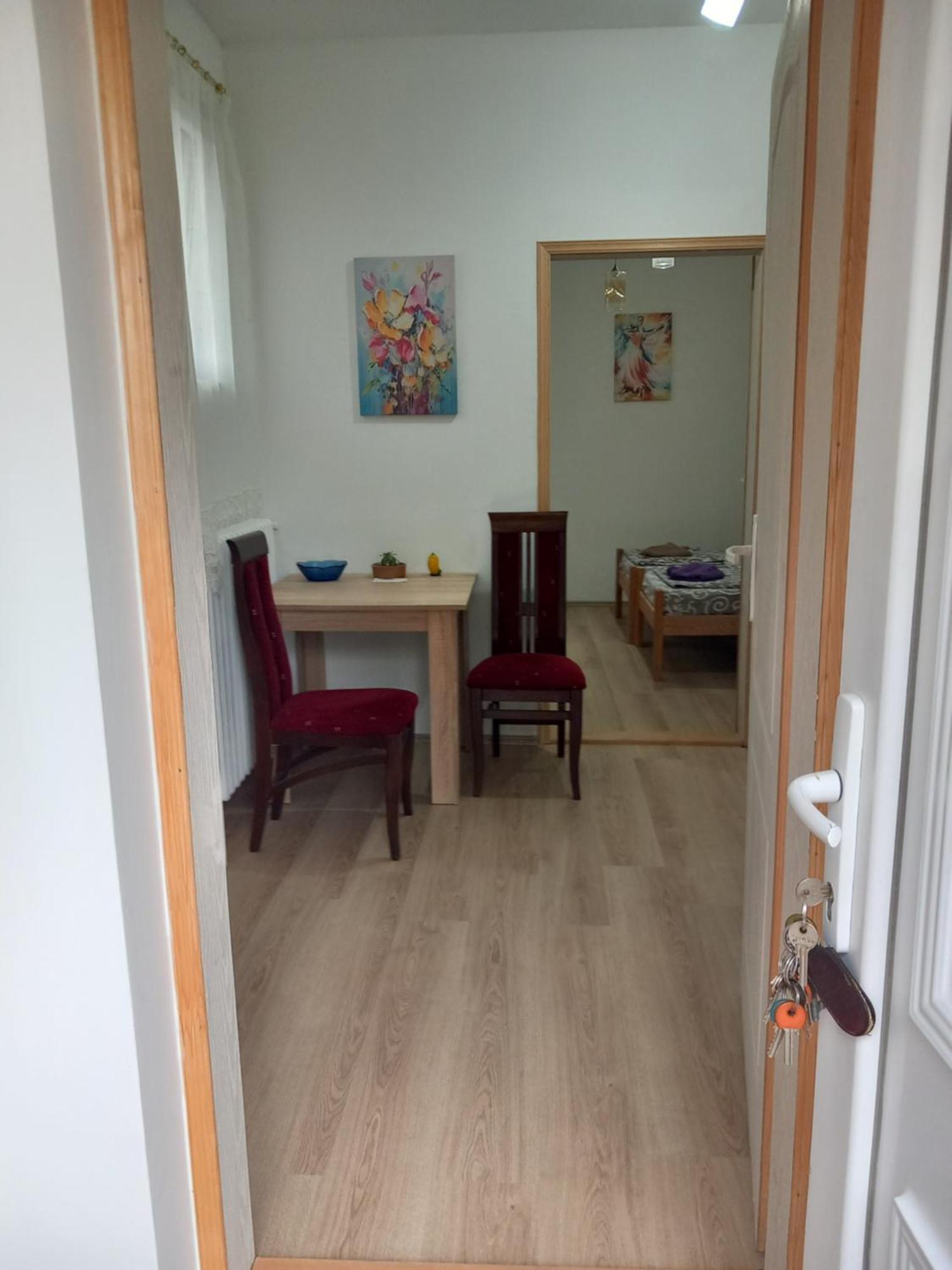 Rm Castell Apartments نوفي ساد المظهر الخارجي الصورة